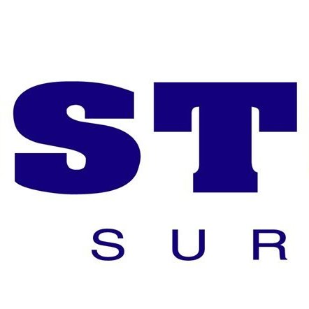 VicoStone Logo